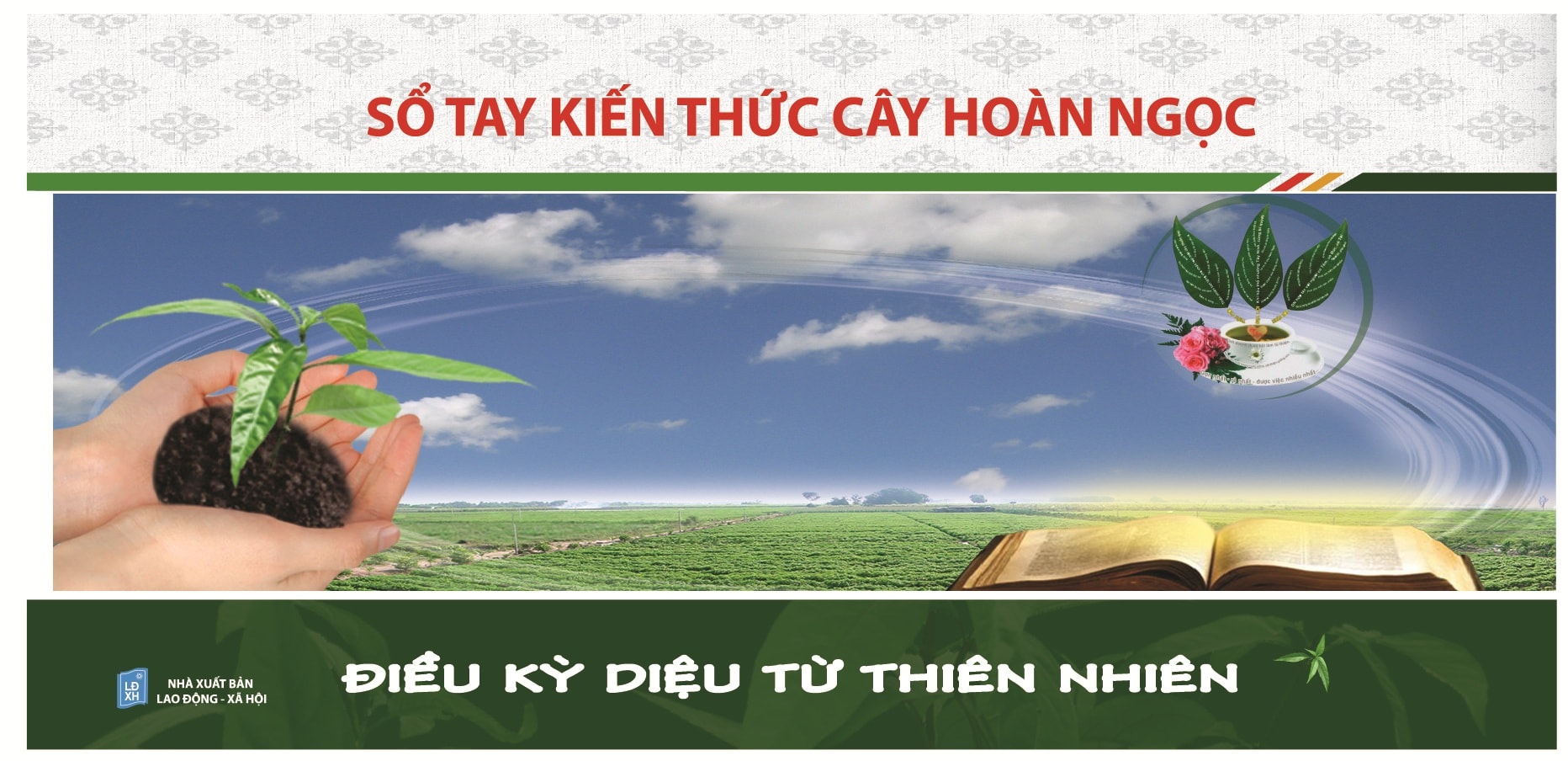 Tọa đàm về ứng dụng dược tính Hoàn Ngọc tại Tây Ninh 2012