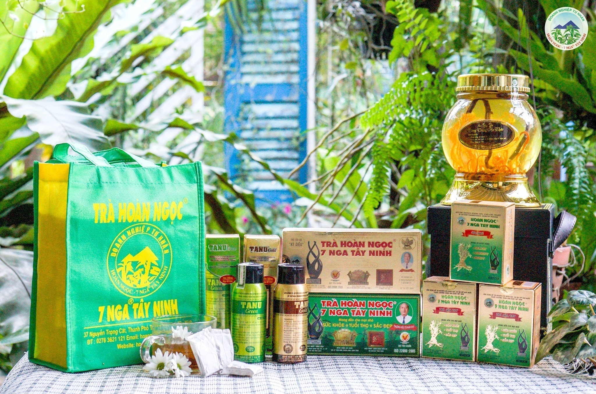 Cơ chế phòng, trị bệnh của hoạt chất từ cây hoàn ngọc