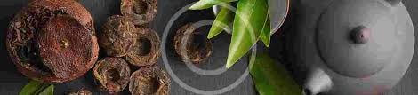 Cây HOÀN NGỌC - Cây thuốc quý cần được nghiên cứu & sử dụng để phục vụ sức khoẻ