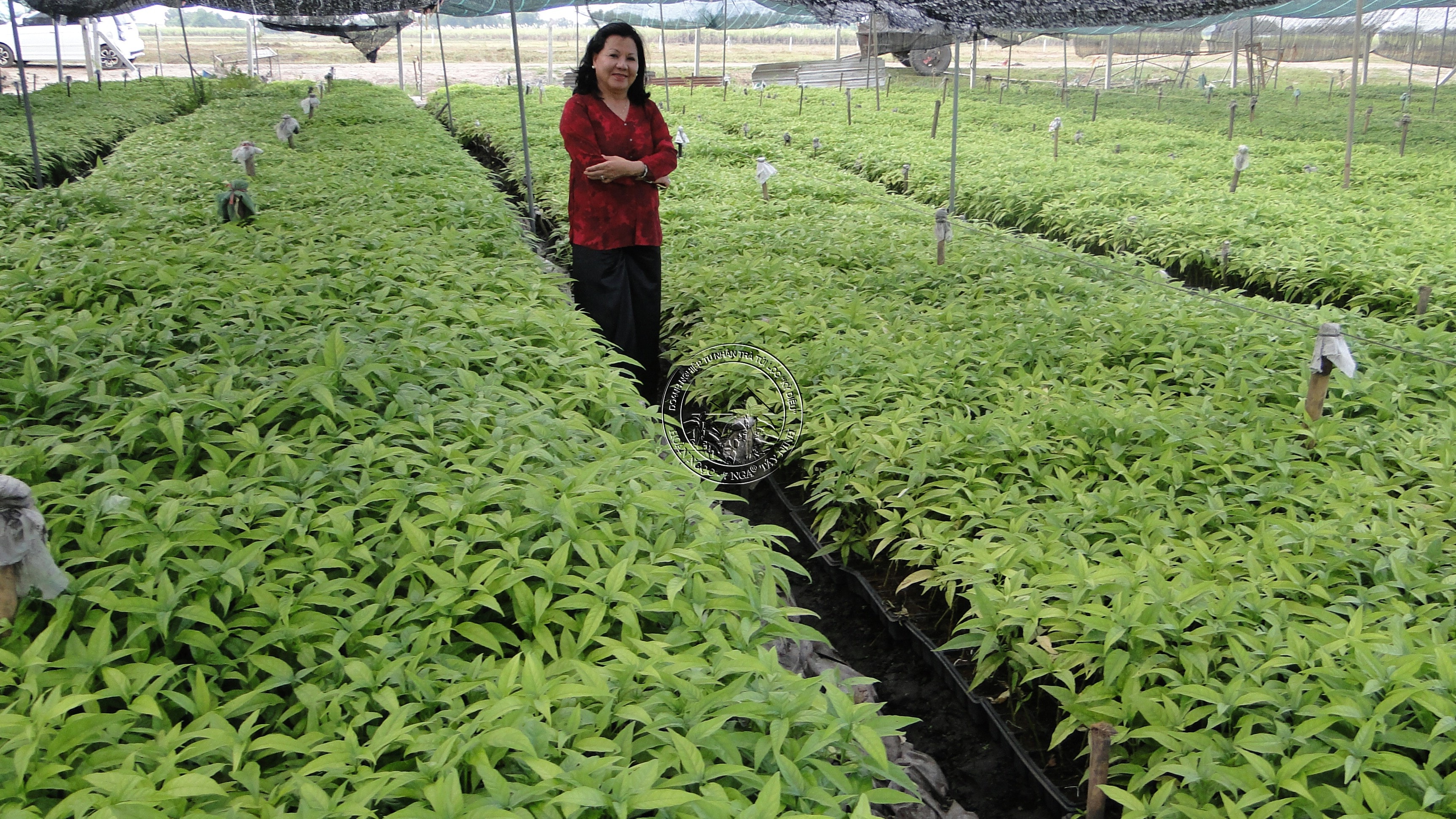 Chào mừng ngày phụ nữ Việt Nam 20-10 _ báo Khoa học đời sống